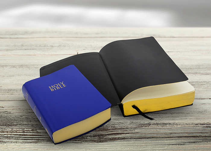 rainbow-lx-endleaf-endleaf-designed-for-bibles-and-religious-books